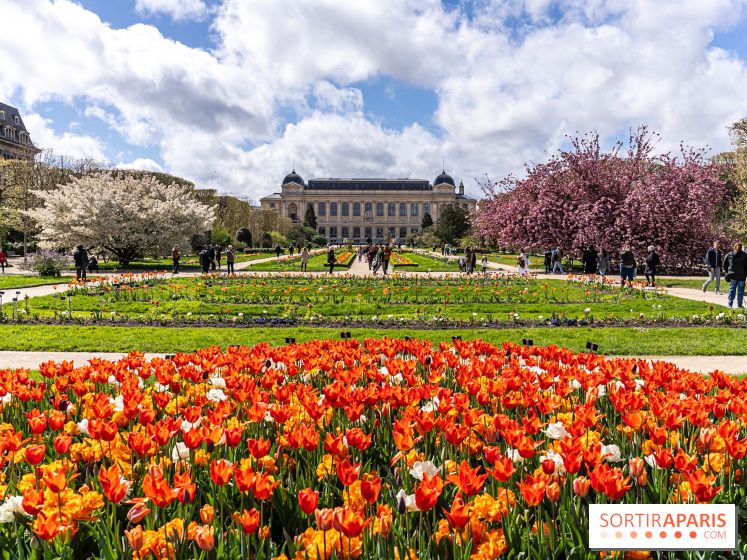 Visuel Paris 5e -  jardin des plantes - museum - printemps - fleurs