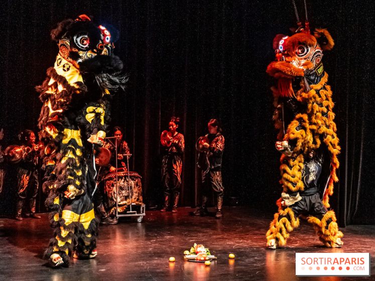 Nouvel An lunaire au Musée Guimet par le Collectif Banh Mi -  A7C6980