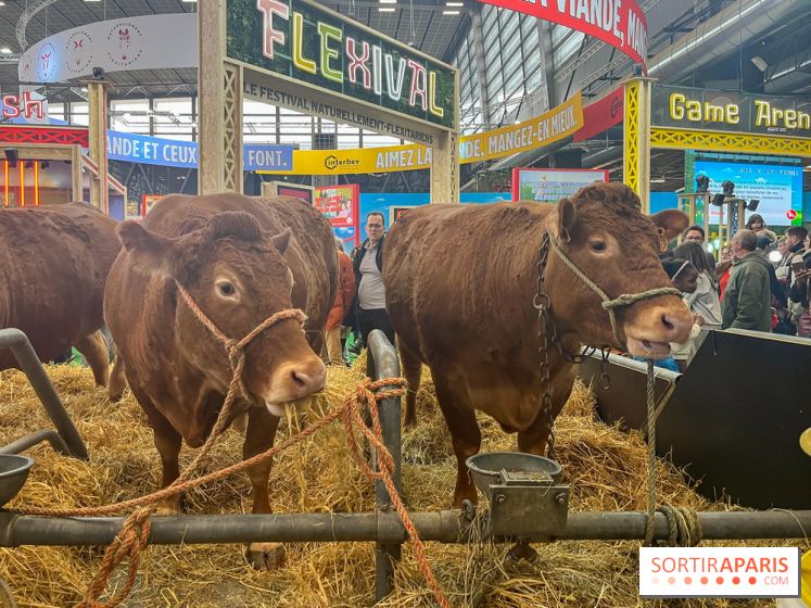 Salon de l'agriculture 2024