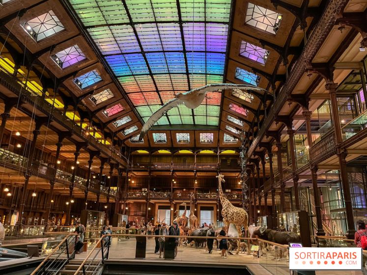 Grande Galerie de l'évolution- visuels 2024 - image00083