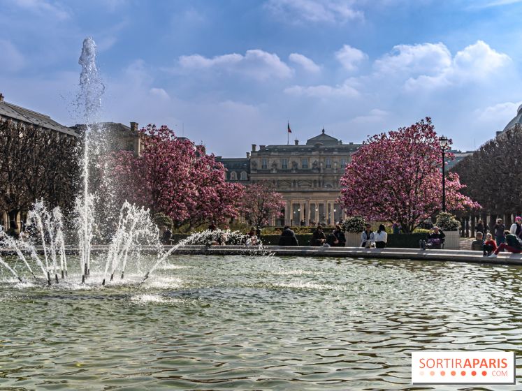 Les magnolias du Jardin du Palais Royal  - printemps - visuel Paris - fontaine - chaleur - beau temps