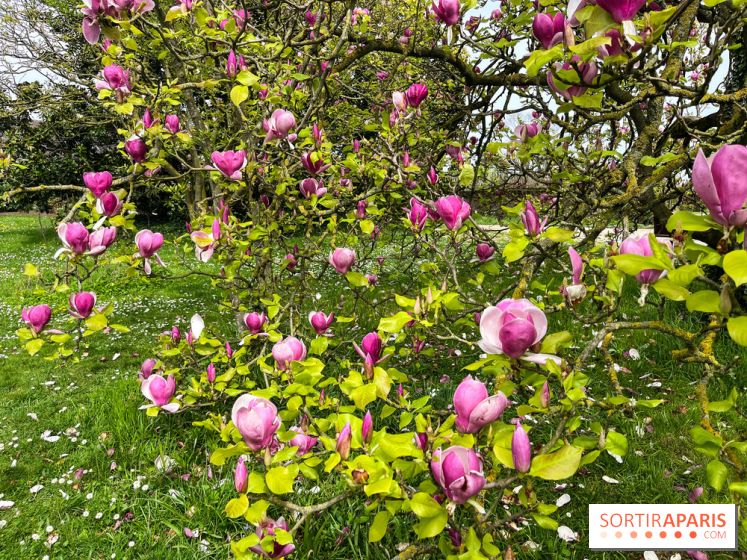 Jardin de l'Ecole du Breuil - nos photos