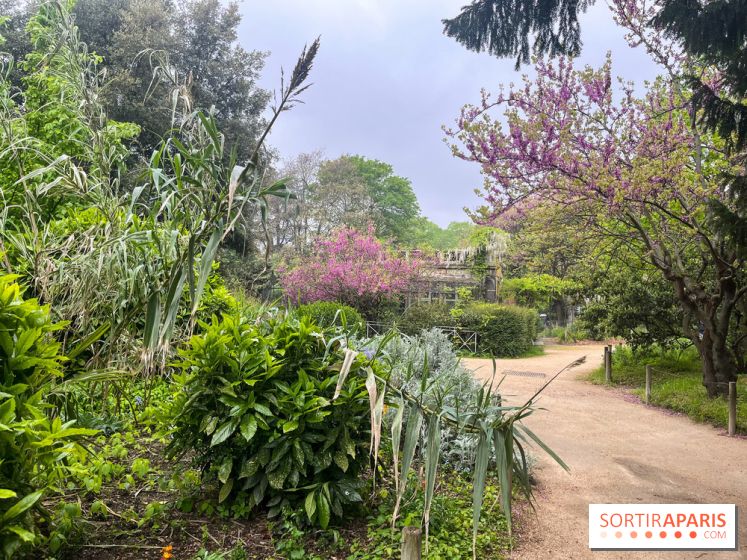 Ménagerie du Jardin des Plantes 2024 - nos photos - image00012