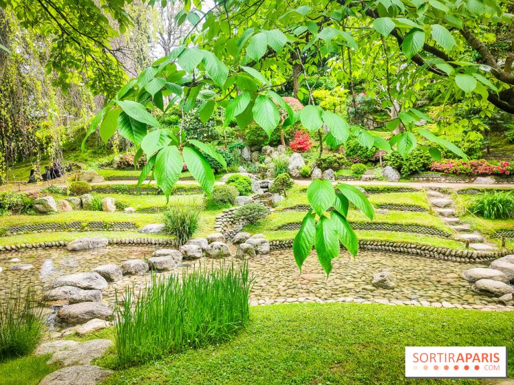 Natures vivantes : l'exposition photo qui met à l'honneur les jardins du musée Albert Kahn - photos - IMG20240429155101