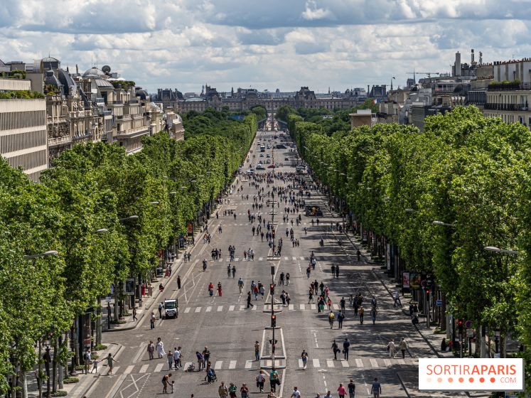 Grand pique nique des Champs-Élysées - photos  -  A7C4826
