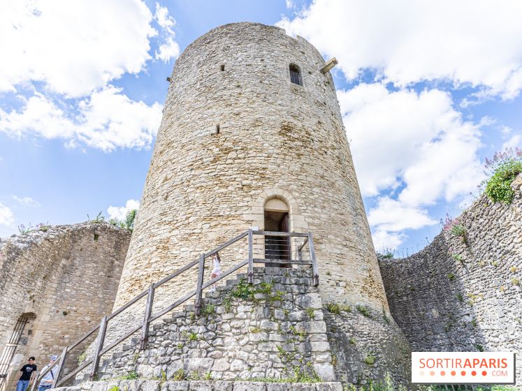 Le Château de la Roche Guyon, le château troglodyte dans le Val-d'Oise - 95 -  donjon
