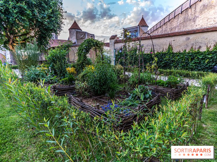 Le Château de Blandy-les-Tours en Seine-et-Marne (77), nos photos -  A7C7993