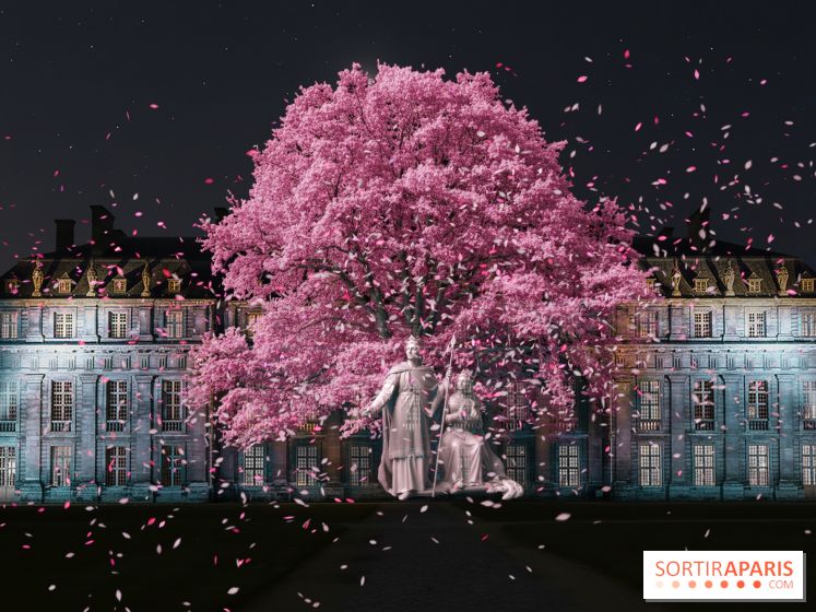 Vincennes, Château de Lumières - Nuits de lumière