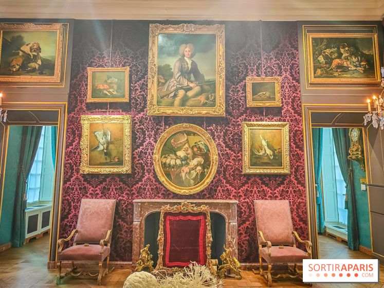 Musée de la chasse et de la nature - collections permanentes et visuels