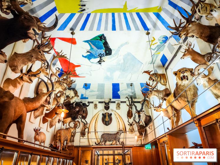 Musée de la chasse et de la nature - collections permanentes et visuels