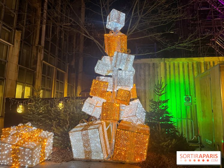 Bel Hiver Saint-Denis 2024 - nos photos - image00017