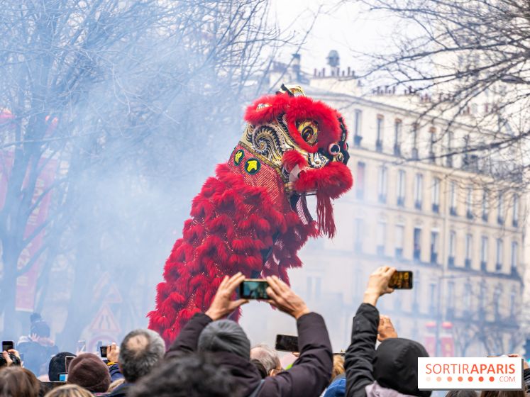 Défilé du Nouvel an Lunaire - Chinois 2025 Paris 13e - les photos