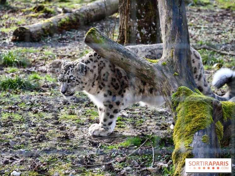 Lumigny Safari Reserve - nos photos