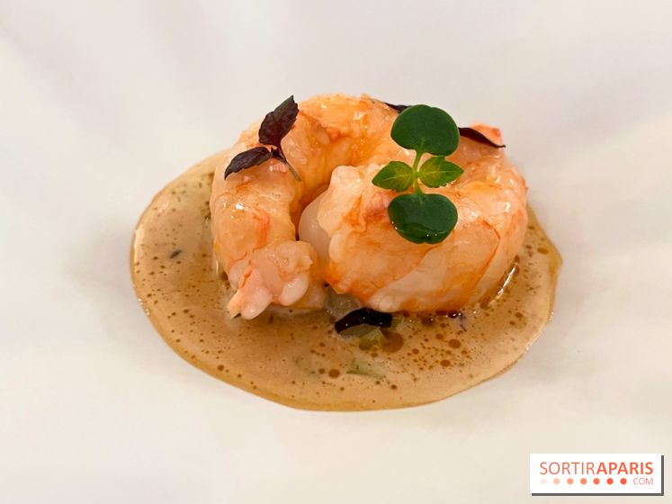 Episodes - Langoustine, céleri, bergamote