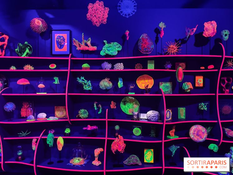 Digital Abysses au musée en Herbe - nos photos - 0129F15A 5778 46C1 BB45 E8B6ED6C3104