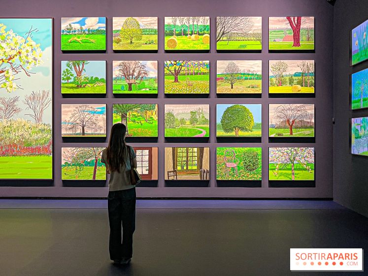 David Hockney : la plus grande exposition retrospective de l'artiste à la Fondation Louis Vuitton - IMG 8663 jpg