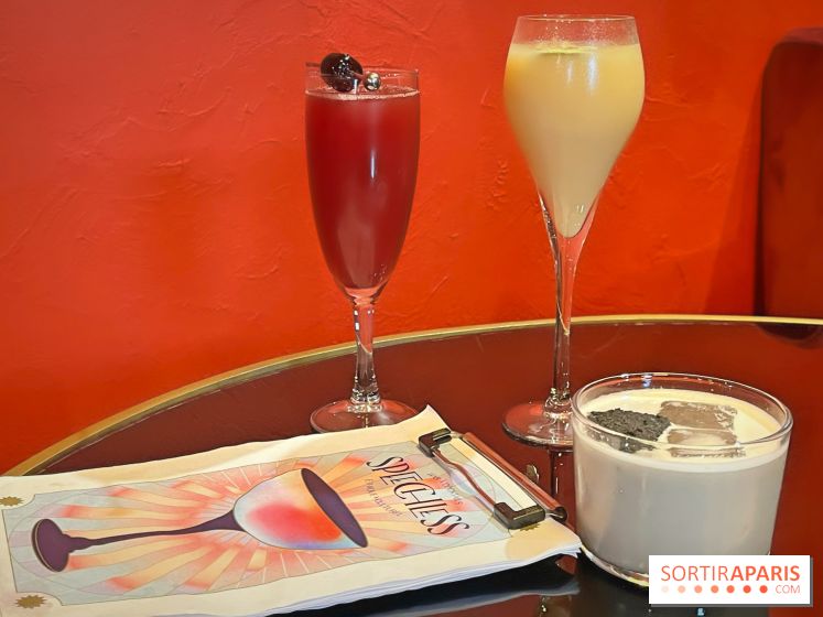 Speechless, le bar à cocktail à la programmation animée dans le 12e arrondissement de Paris - IMG 9758