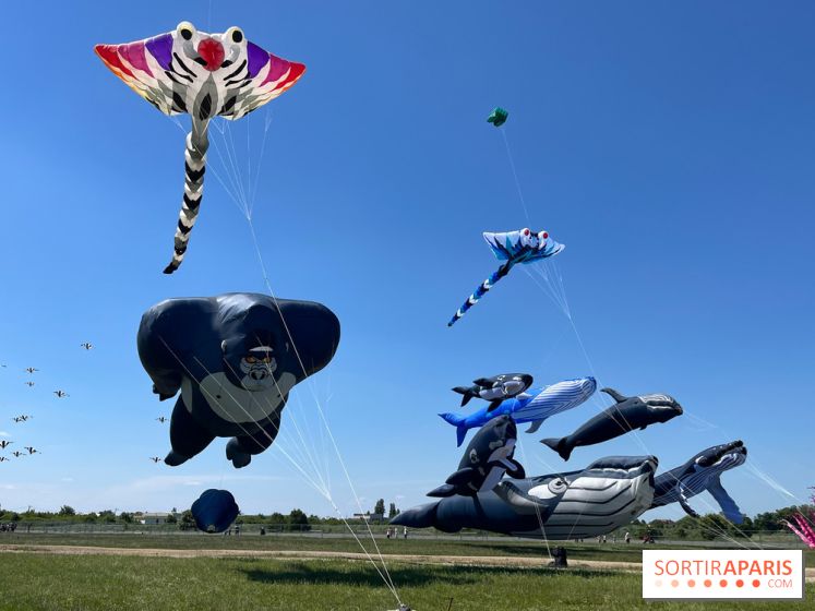 Festival de Cerfs-Volants à la Base 217