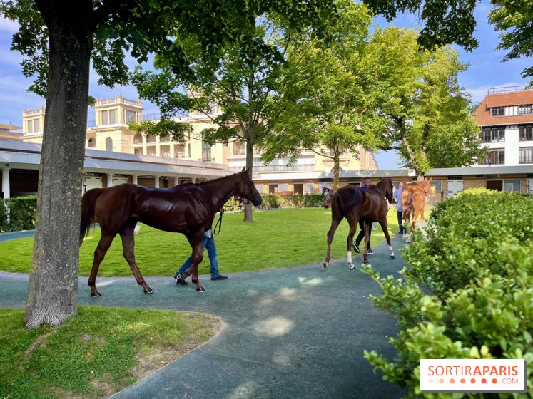 Jeuxdi by Longchamp - chevaux