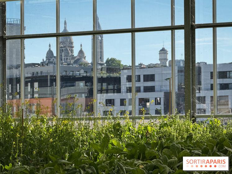 Rooftop Plantation Paris