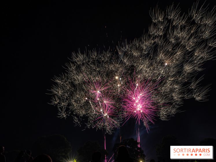 Visuels feux d'artifice