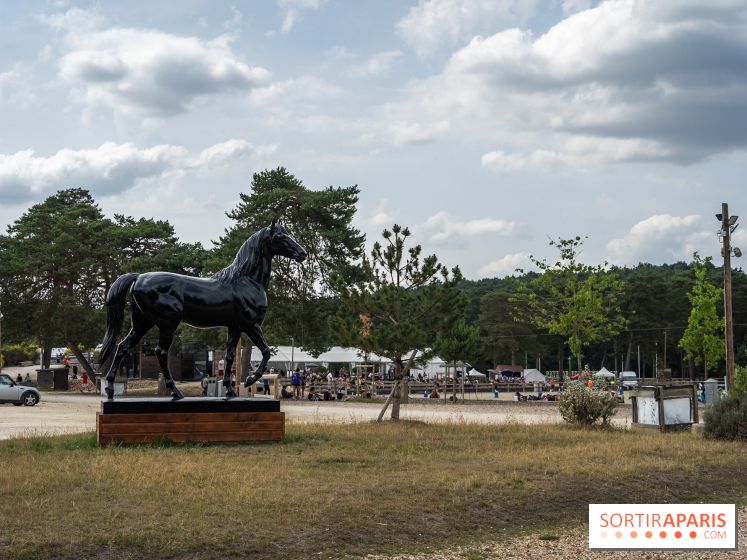 Le Grand Parquet Fontainebleau - photos  - A7C02547