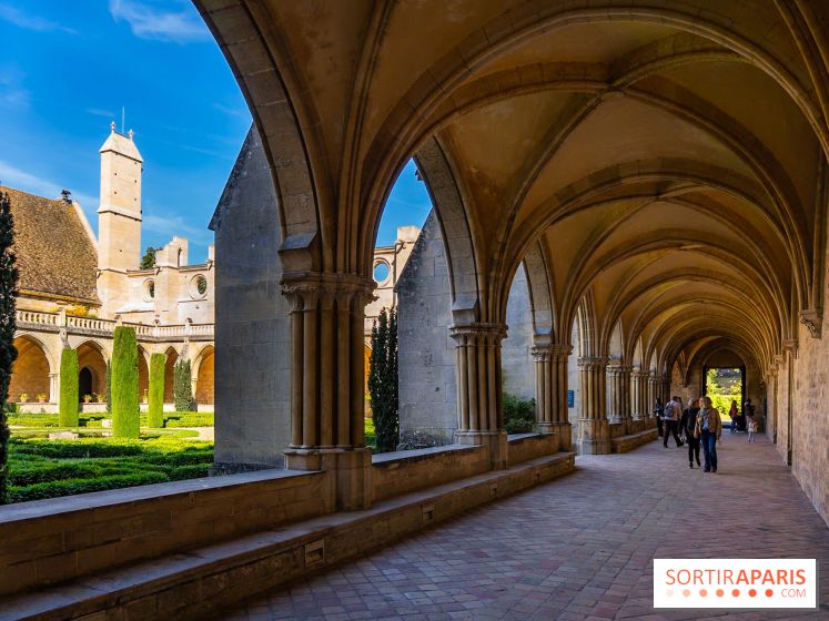 Les spectacles du dimanche de l'Abbaye de Royaumont dans le Val-d'Oise - A7C08374