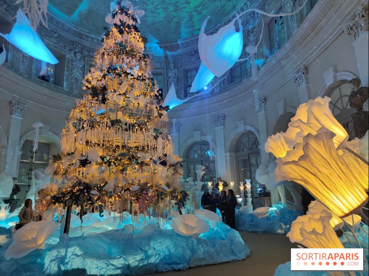 Le Grand Noël 2025 du château de Vaux-le-Vicomte : des décorations magiques pour une balade hivernale mémorable - fotor 1763143714138
