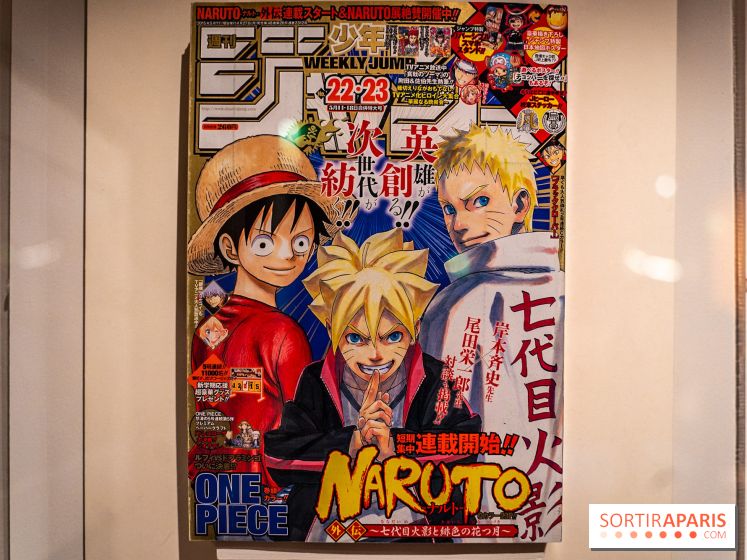 Exposition Manga au Musée Guimet, les photos  - A7C01229