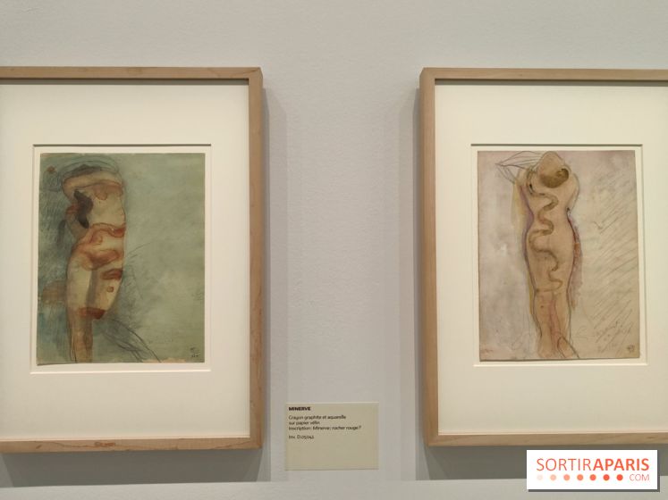 Rodin, dessins libres : une exposition d'œuvres rarement montrées au musée Rodin se dévoile - fotor 1765539489879