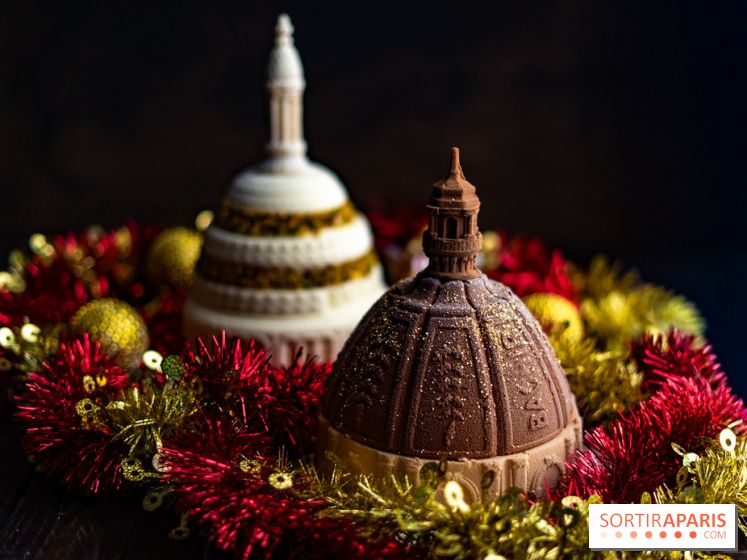 Les bûches de Noël glacées de Bachir spécial dômes parisiens  - A7C03412