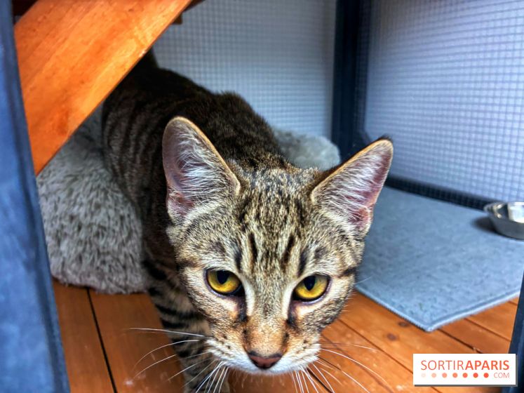 Le Chatelier  - IMG 2495