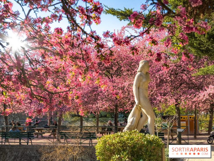 Les pommiers et cerisiers en fleurs du Jardin de Reuilly, Parc de Reuilly à Paris 12e - photos  - visuel