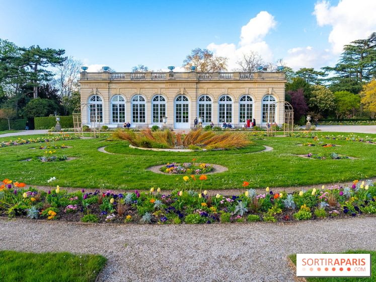 Le Parc de Bagatelle au printemps, cerisier, tulipes et jonquilles - photos