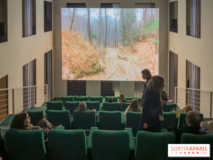 Expositions Diego Marcon et Ladji Diaby à Lafayette Anticipations - IMG 5538