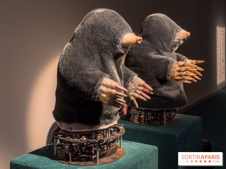 Expositions Diego Marcon et Ladji Diaby à Lafayette Anticipations