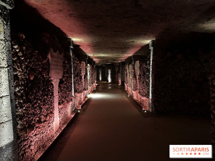 Les Catacombes de Paris 2026 - IMG 3677
