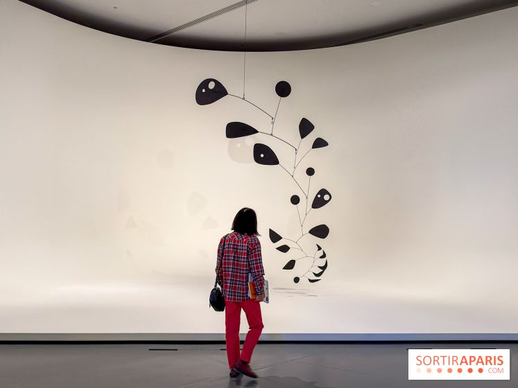Calder. Rêver en Équilibre : l'exposition retrospective du  - IMG 2716