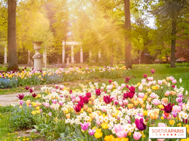Le Château de Buc et son superbe domaine, parc paysagé aux nombreux trésors - A7C03157 Edit