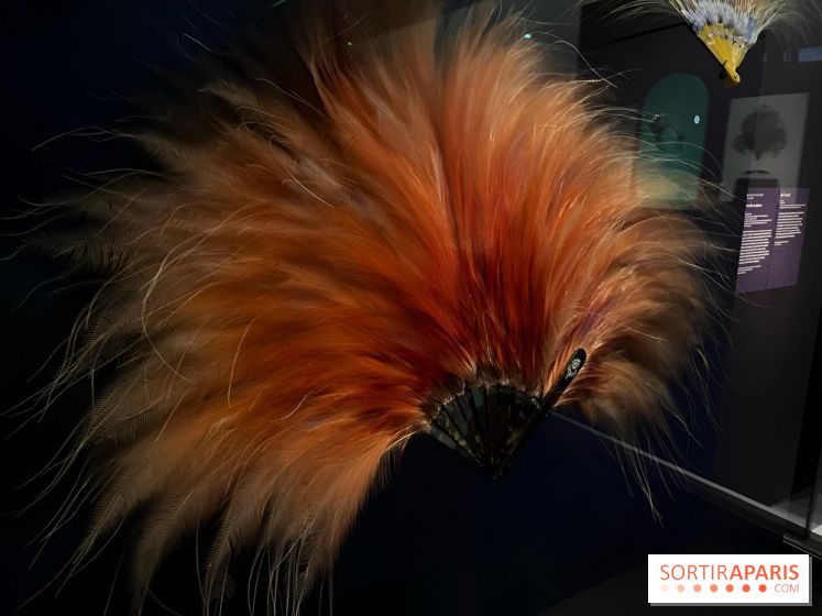 Plumes de Paradis, l'expo au musée du Quai Branly - nos photos