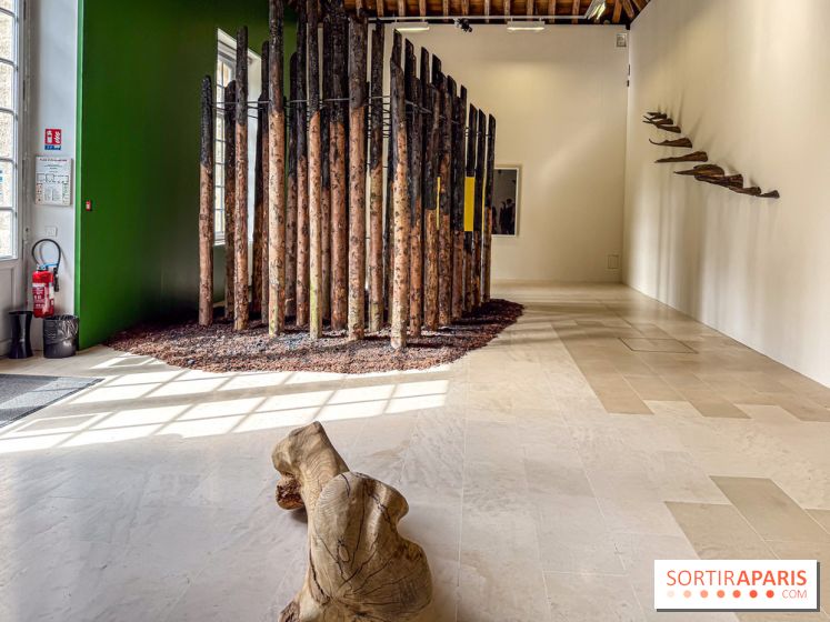 Lélia Demoisy au Domaine de Chamarande : une exposition autour des récits de forêts