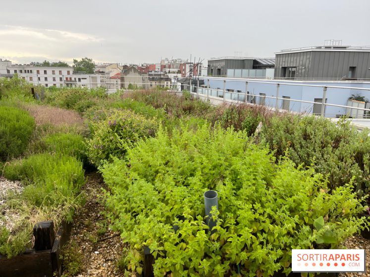 L'aromathèque Persépolis, sur le toit de la bourse du travail à Saint-Denis - nos photos