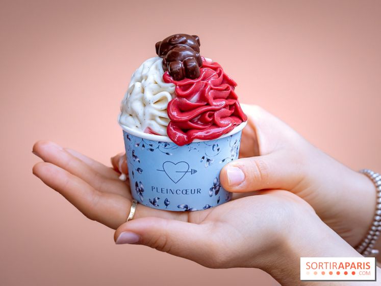 Le comptoir à glaces de Pleincœur et ses coupes glacées - photos