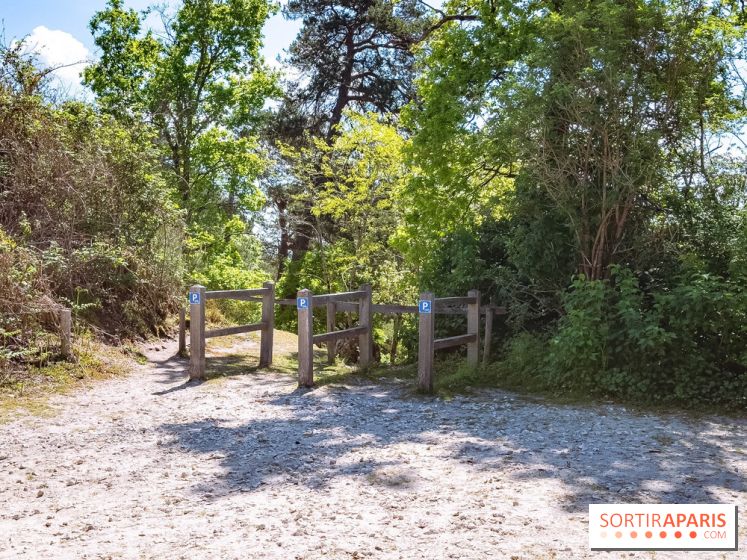 Liaisons douces à Fontainebleau : la forêt à vélo, les photos
