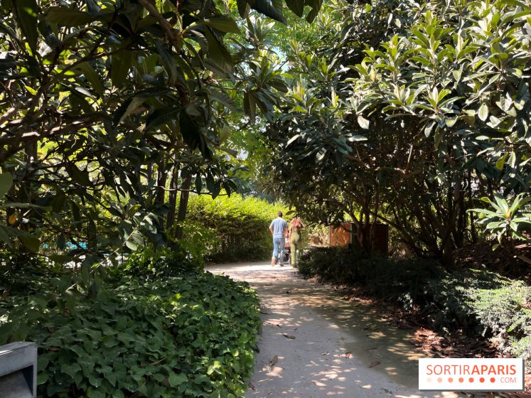 Le Jardin Claire Motte, square secret dans le 17e arrondissement