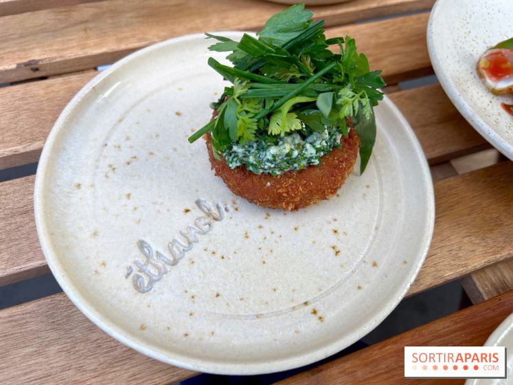 Ethanol - Croquettes de rillettes