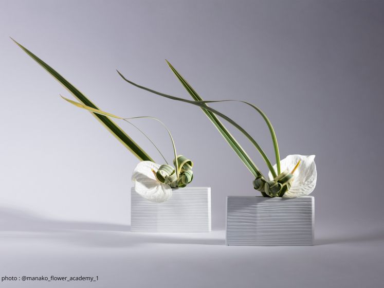 L’art floral japonais à l’honneur : plongez dans la poésie végétale au cœur de Paris !