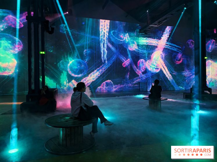 Plongez à la découverte de Planète Océan, l’exposition immersive de l’Atelier des Lumières