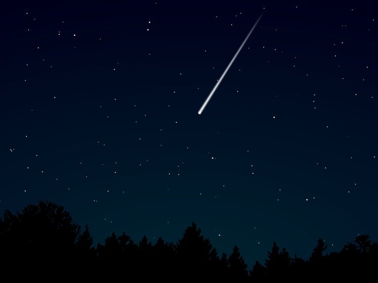 Nuit des Etoiles 2021 : l'Association française d'Astronomie au Parc Montsouris et au Jardins d'Eole