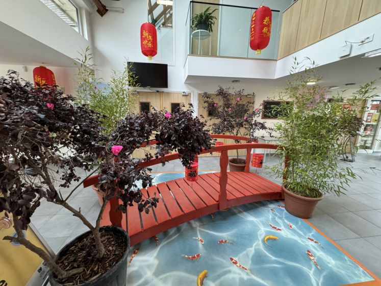 Nouvel An chinois à Saint-Germain-en-Laye, le programme festif et gratuit